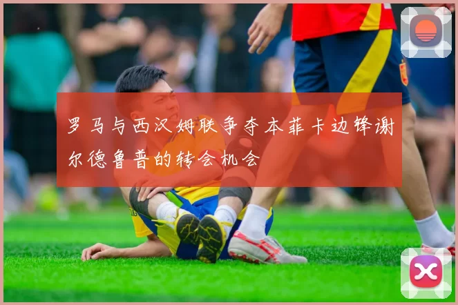 罗马与西汉姆联争夺本菲卡边锋谢尔德鲁普的转会机会