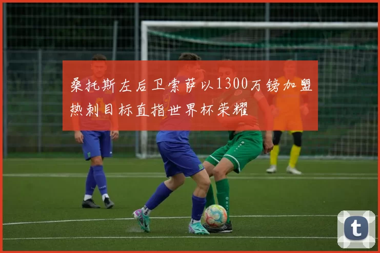 桑托斯左后卫索萨以1300万镑加盟热刺目标直指世界杯荣耀