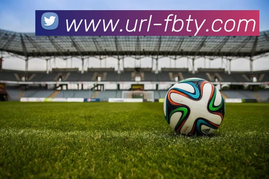 FB体育平台生态图